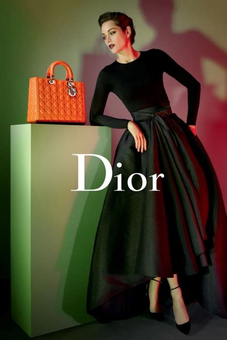 Ray of Inspirology: Lady Dior S/S 2013 Campaign